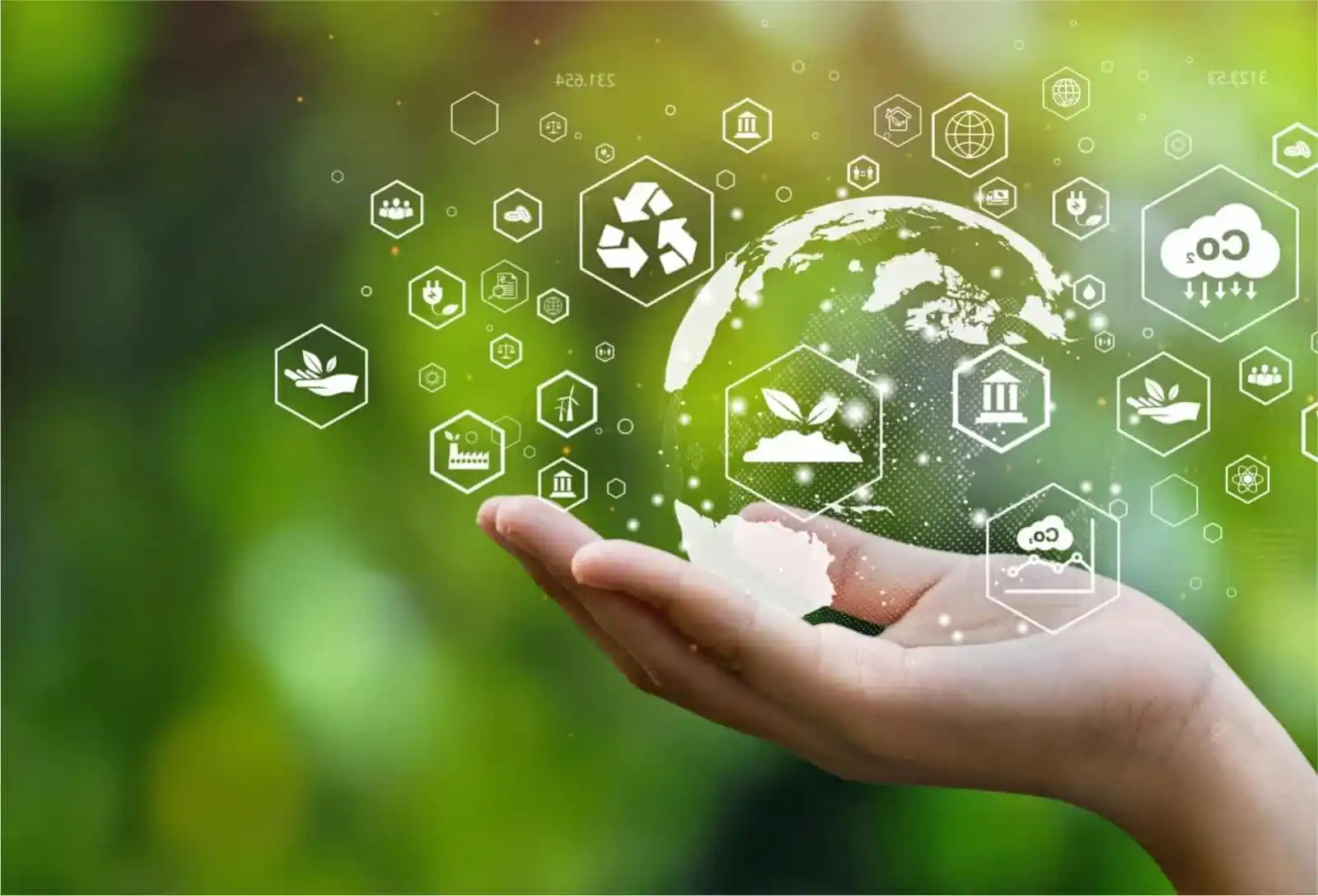 Gestión y Evaluación de Impacto Ambiental