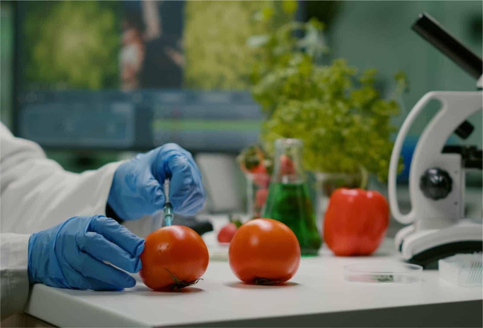 Gestión de Calidad y Seguridad Alimentaria, Sistemas HACCP, BPM,SOP Y SSOPP