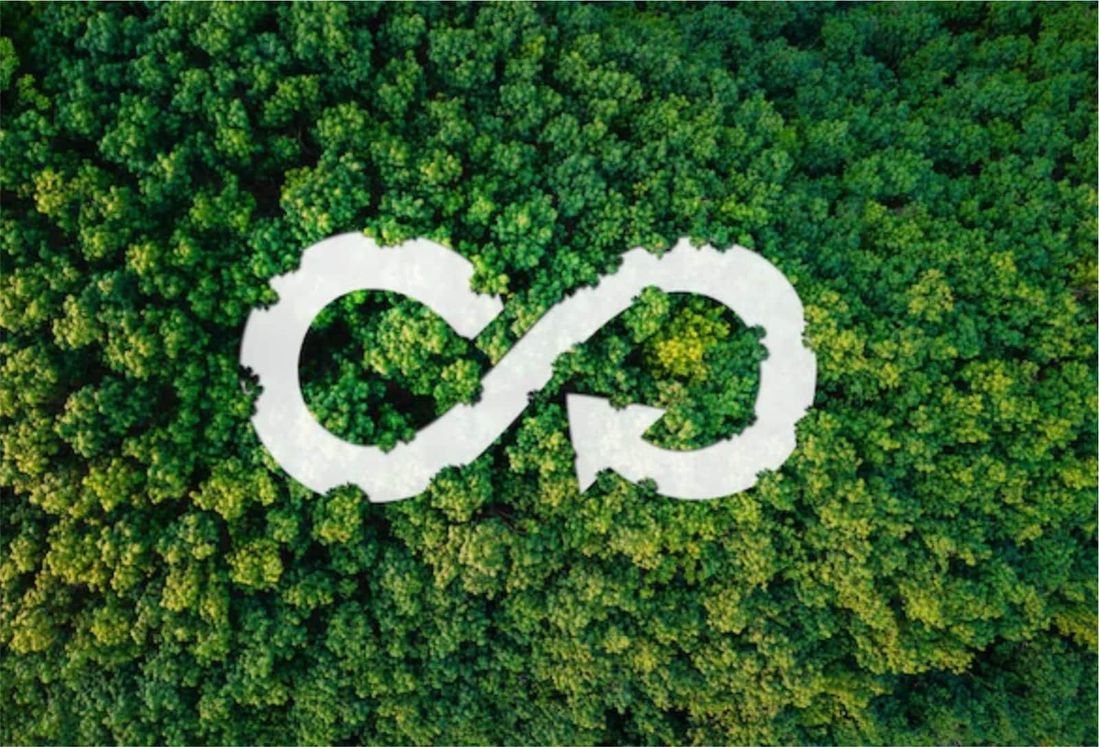 Economía Circular