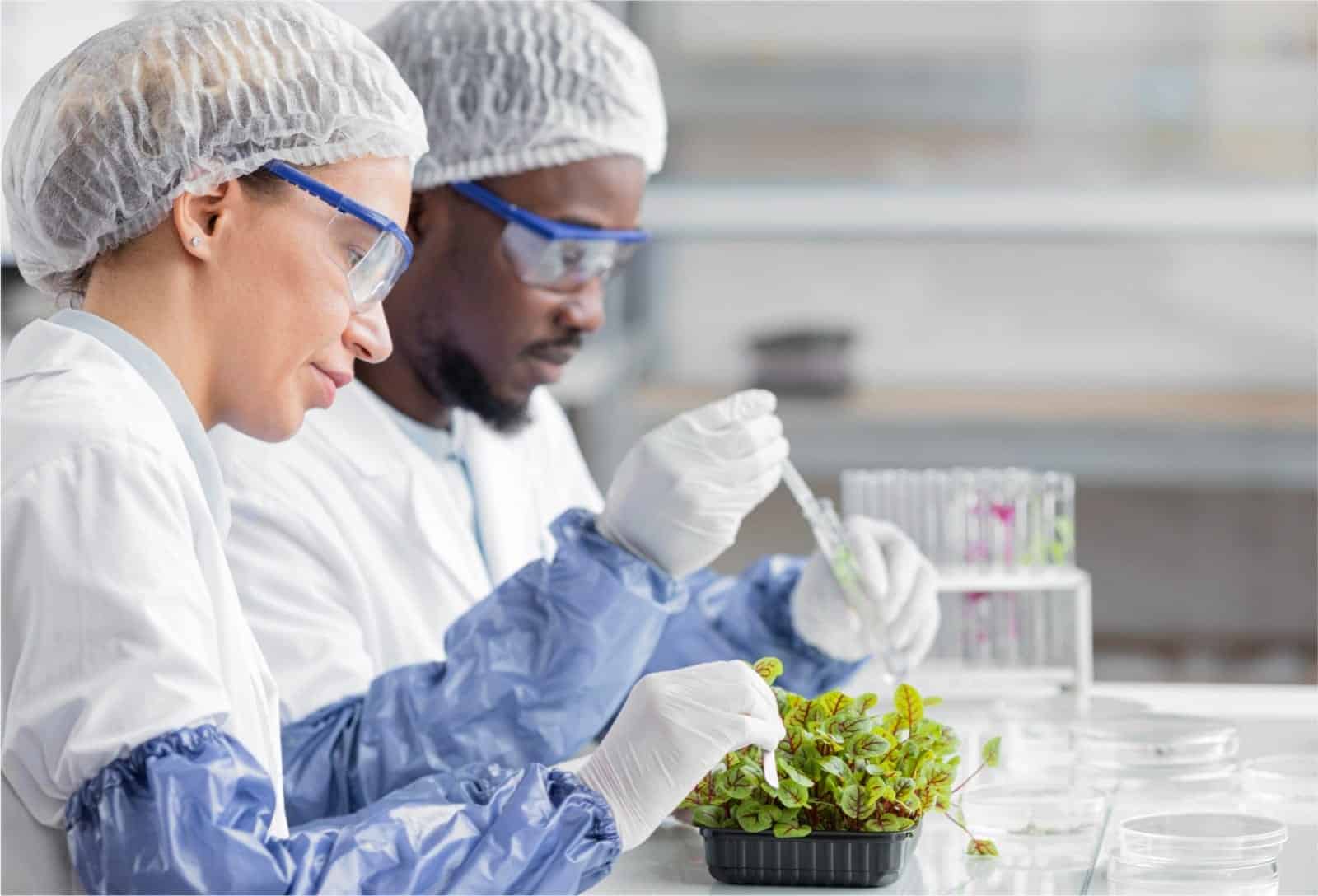 Sistemas de Gestión de la Inocuidad Alimentaria: ISO 22000