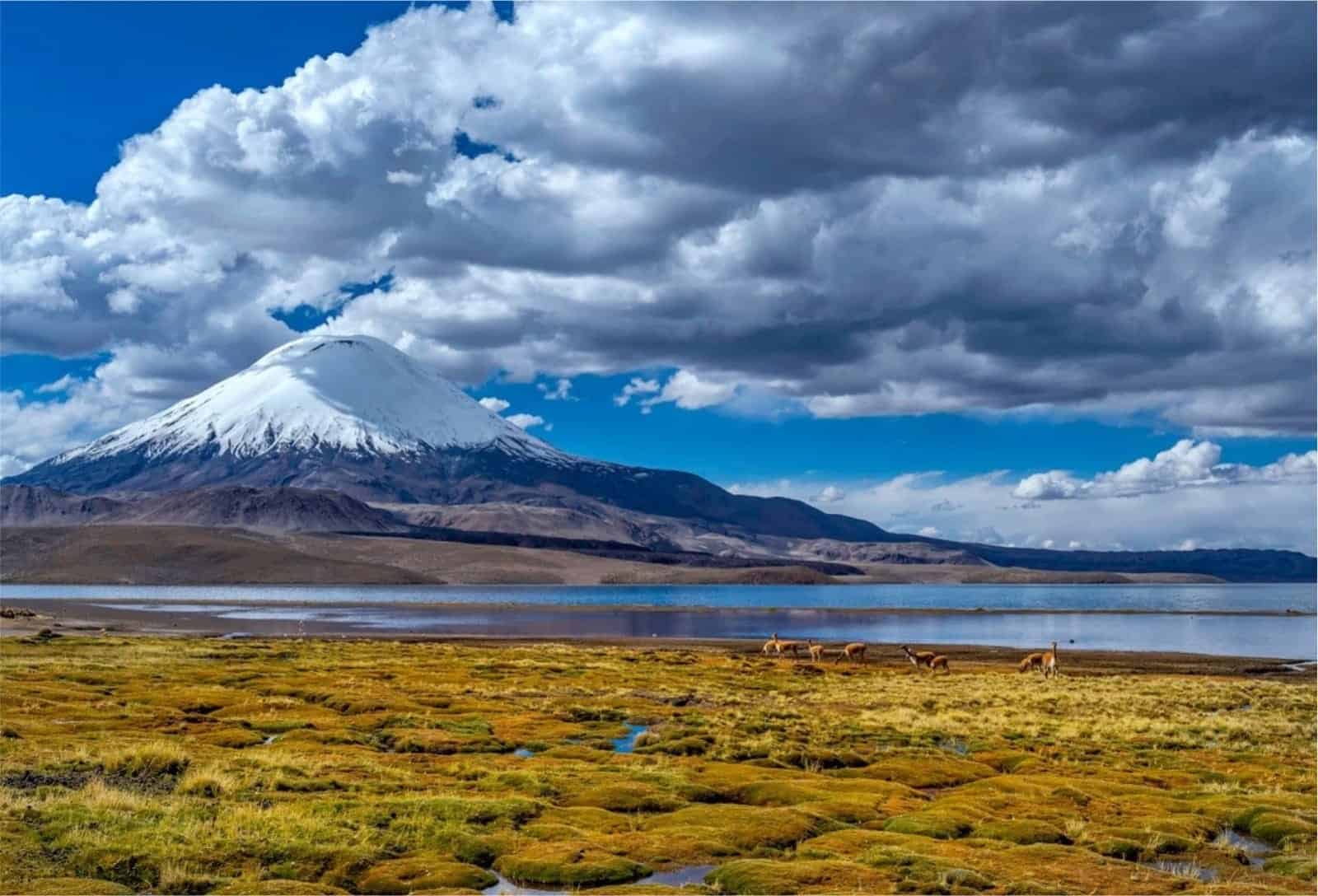 Gestión y Manejo Integral de Áreas Naturales Protegidas