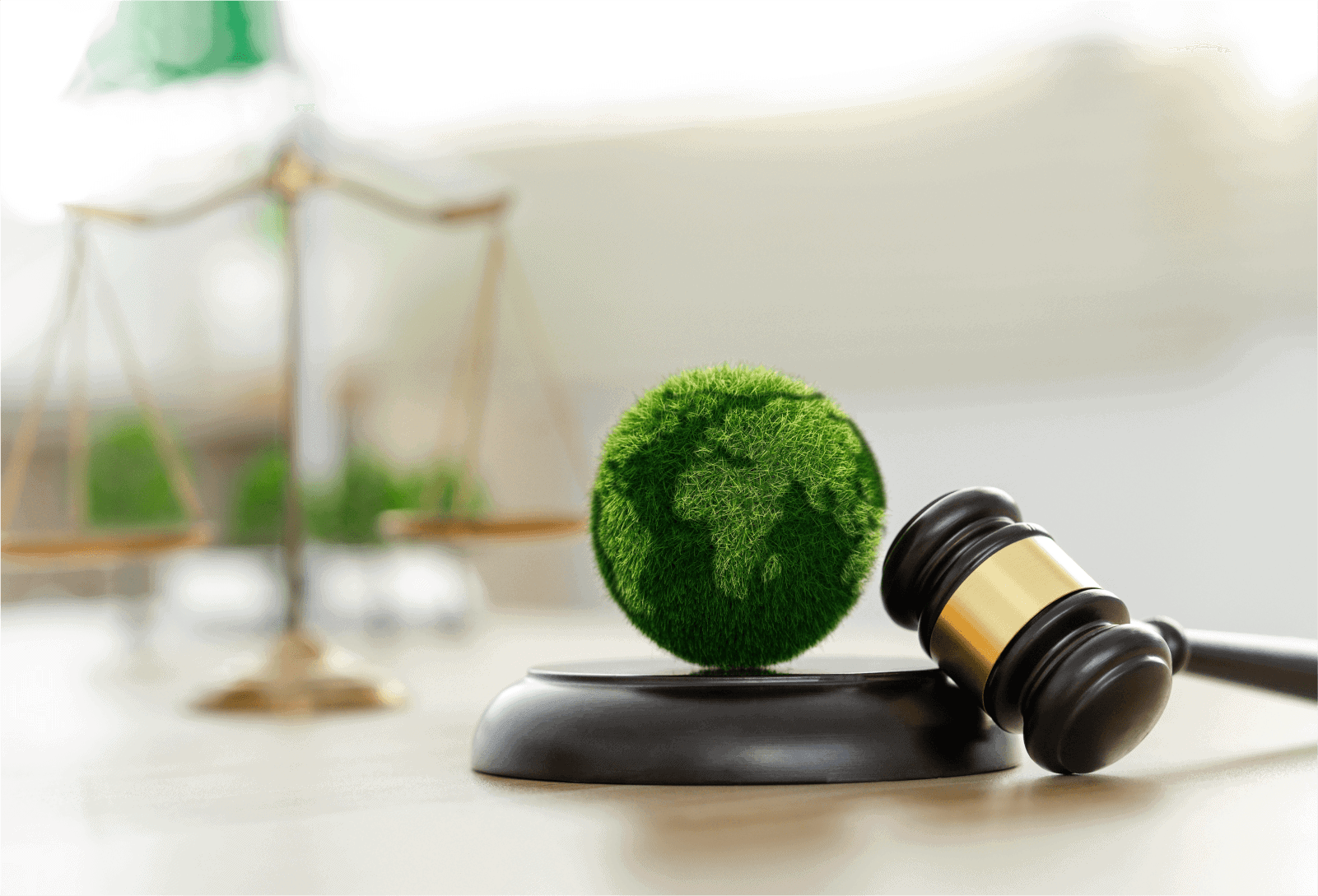 Derecho Ambiental